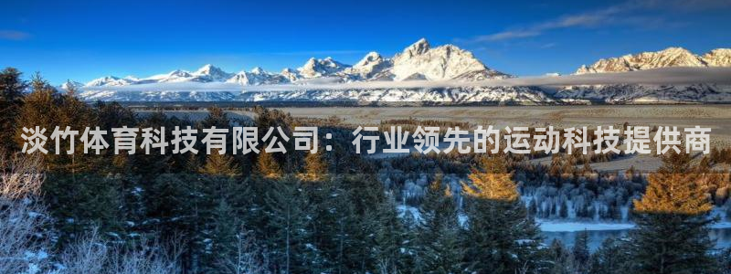 淡竹体育科技有限公司：行业领先的运动科技提供商
