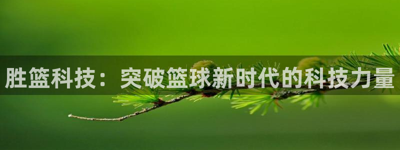 胜篮科技：突破篮球新时代的科技力量