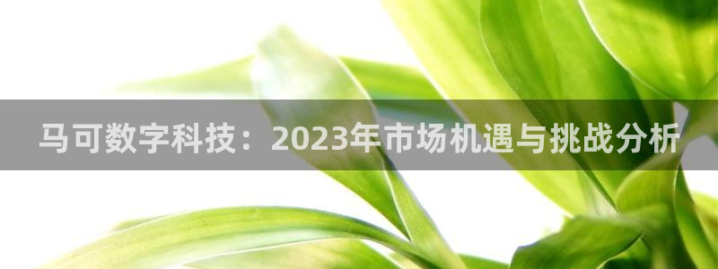 马可数字科技：2023年市场机遇与挑战分析