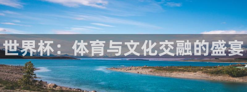 世界杯：体育与文化交融的盛宴