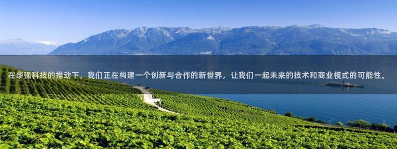 在华强科技的推动下，我们正在构建一个创新与合作的新世界，让我们一起未来的技术和商业模式的可能性。