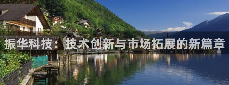 振华科技：技术创新与市场拓展的新篇章