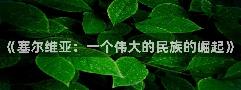《塞尔维亚：一个伟大的民族的崛起》